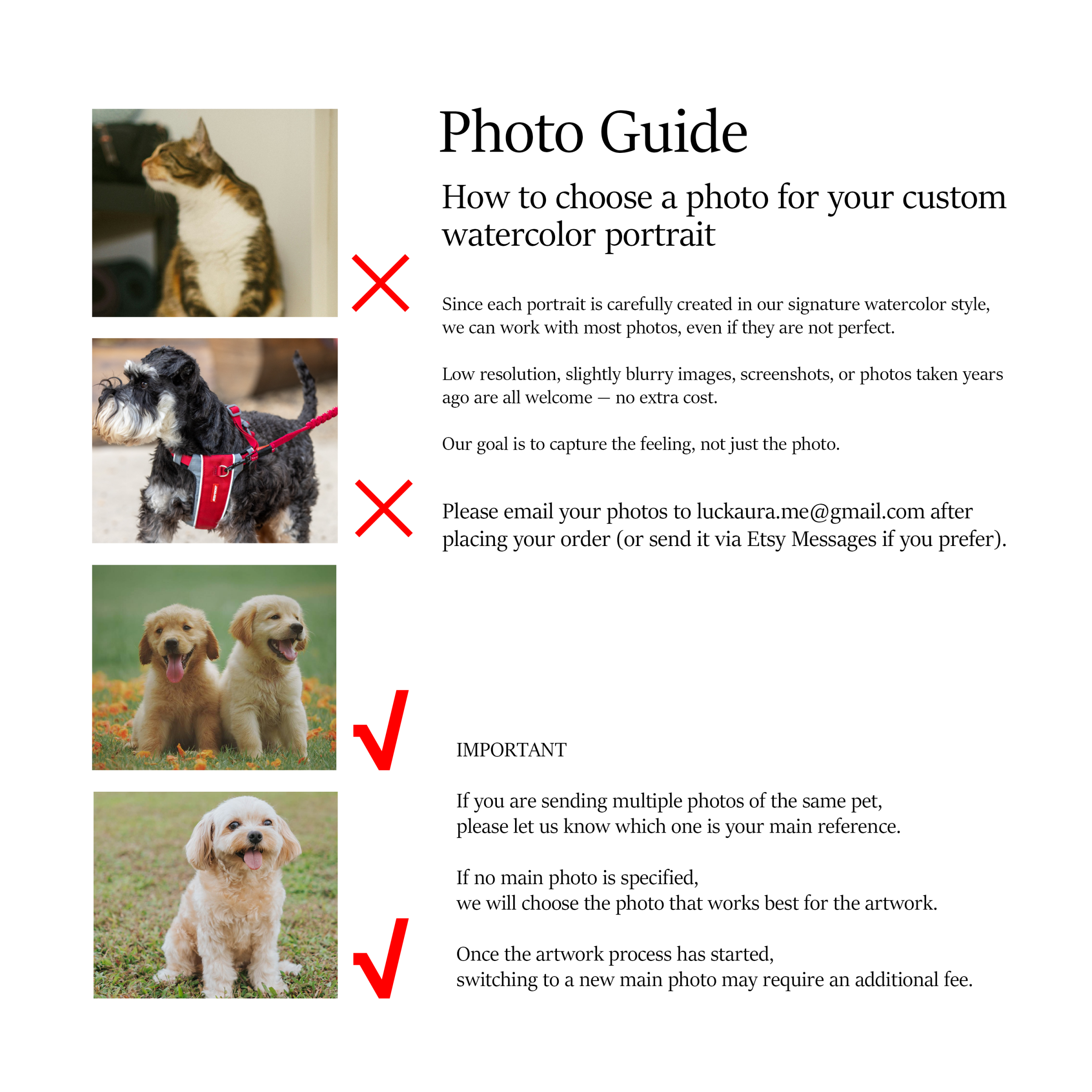 Custom Pet Portrait | Personalized Dog or Cat Art, Framed Print Option